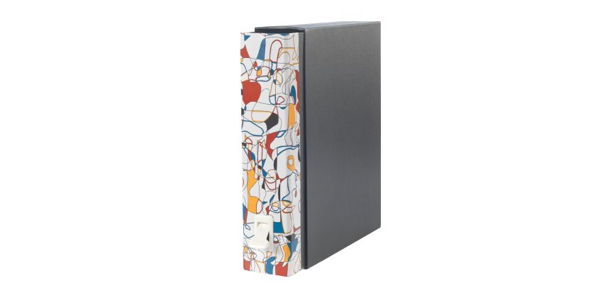 Esselte Dox 2 ring binder A4 Multicolour