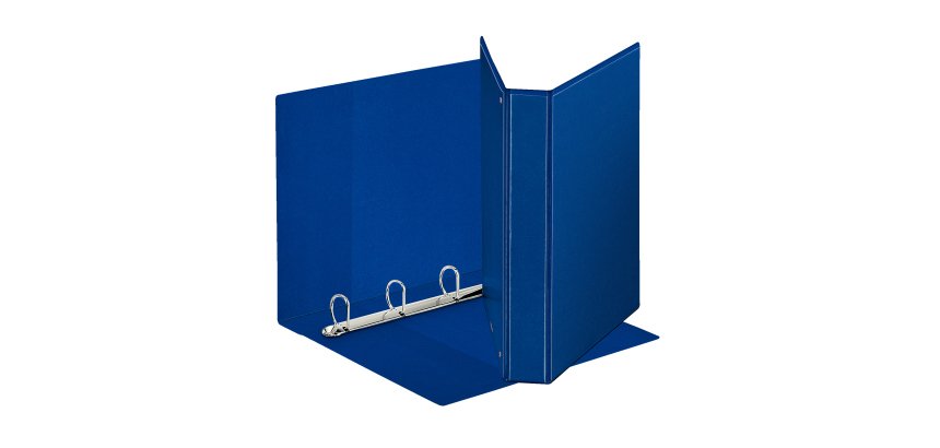 Raccoglitore personalizzabile Display - 22 x 30 cm - 4 anelli a D 30 mm - dorso 4,7 cm - blu - Esselte
