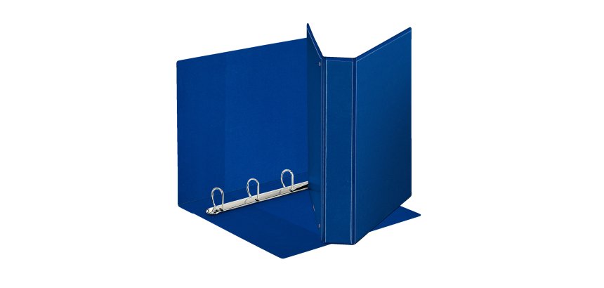 Raccoglitore personalizzabile Display - 22 x 30 cm - 4 anelli a D 40 mm - dorso 5,9 cm - blu - Esselte