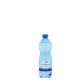 Acqua frizzante - PET - bottiglia da 500 ml - San Benedetto