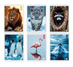Maxiquaderno Animal fantasia - A4 - 40+2 fogli - 80gr - rigo di 1a - BM