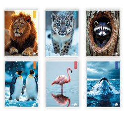 Maxiquaderno Animal fantasia - A4 - 40+2 fogli - 80gr - rigo di 1a - BM