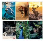 Maxiquaderno Animal fantasia - A4 - 40+2 fogli - 80gr - rigo di 3a - BM