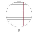 Maxiquaderno Animal fantasia - A4 - 40+2 fogli - 80gr - rigo di 3a - BM