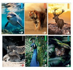 Maxiquaderno Animal fantasia - A4 - 40+2 fogli - 80gr - 4mm c/margine - BM