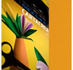 Cartoncino CartaCrea - 35 x 50 cm - 220 gr - aragosta - Fabriano - conf. 10 pezzi