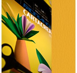 Cartoncino CartaCrea - 35 x 50 cm - 220 gr - avana - Fabriano -  blister 10 fogli