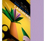 Cartoncino CartaCrea - 35 x 50 cm - 220 gr - violetto - Fabriano -  blister 10 fogli