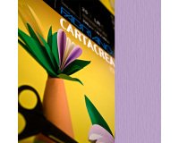 Cartoncino CartaCrea - 35x50cm - 220gr - violetto - Fabriano -  blister 10 fogli