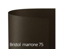 Cartoncino Bristol Color - 50 x70 cm - 200 gr - marrone 75 - Favini - conf. 25 pezzi