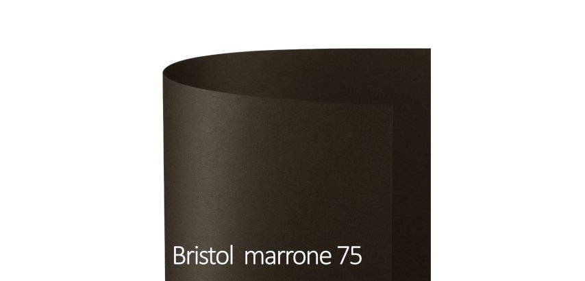 Cartoncino Bristol Color - 50 x 70 cm - 200 gr - marrone 75 - Favini - conf. 25 fogli