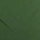 Foglio Colorline - 70x100 cm - 220 gr - verde abete - Canson