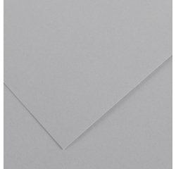 Foglio Colorline - 70x100 cm - 220 gr - grigio chiaro - Canson