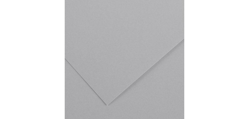 Foglio Colorline - 70x100 cm - 220 gr - grigio chiaro - Canson