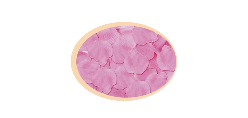 Petali sintetici - rosa - Big Party - busta 144 pezzi