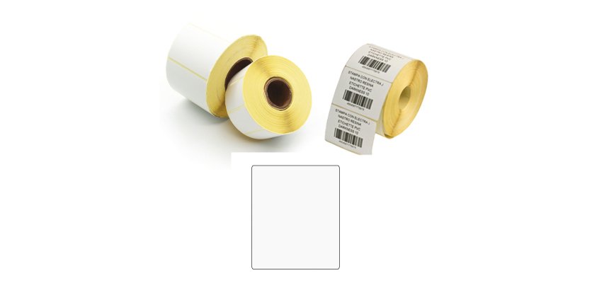 Etichette per trasferimento termico diretto - 1 pista - 50 x 100 mm - Printex - rotolo da 500 pezzi
