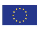Bandiera Europa - 100 x 150 cm - poliestere nautico
