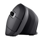 Trust Verro mouse Office Right-hand RF Wireless Optical 1600 DPI