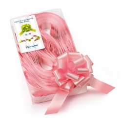 Nastri strip 6800 - in polipropilene - rosa baby 05 - per fiocco autocomponibile - 31 mm - diametro 13 cm - Brizzolari - conf. 30 pezzi