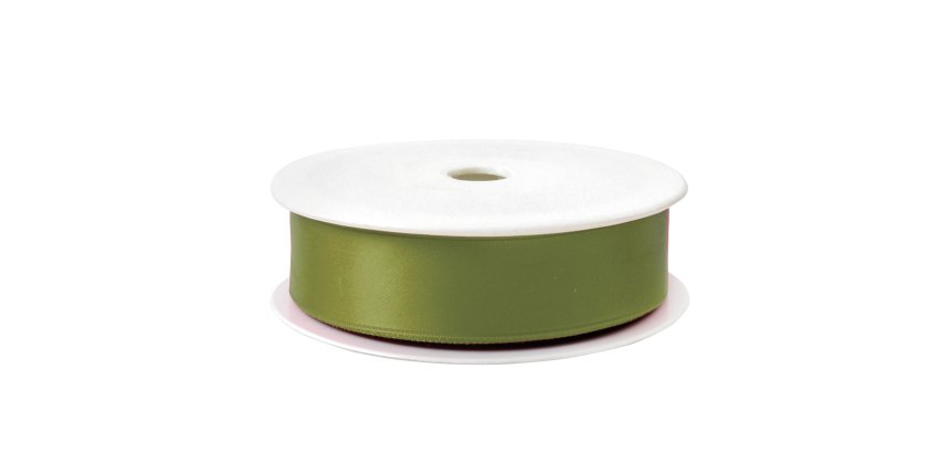 Nastro doppio raso - 25mmx25mt - verde salvia 64 - Brizzolari