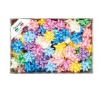 Stelle di nastro liscio 6800 - 14 mm - diam. 6,5cm - colori primaverili assortiti - Brizzolari - conf. 100 pezzi