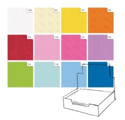 Carta regalo - kraft - Light - 70 x 100 cm - Rex Sadoch - scatola 100 fogli