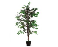 Pianta ornamentale - ficus - H 120cm - Alco