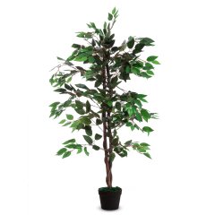 Pianta ornamentale - ficus - H 120cm - Alco