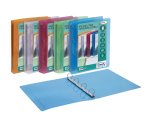 Favorit 400116633 ring binder A4 Multicolour