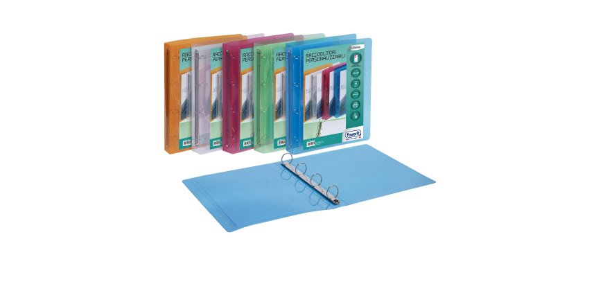 Favorit 400116633 ring binder A4 Multicolour