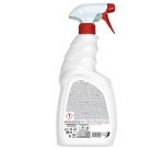 Disinfettante sgrassatore Sani Active - 750 ml - Sanitec