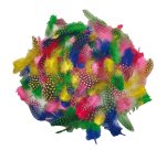 Piume tropicali - dimensione 50-100 mm - colori assortiti - DECO - conf. 100 pezzi