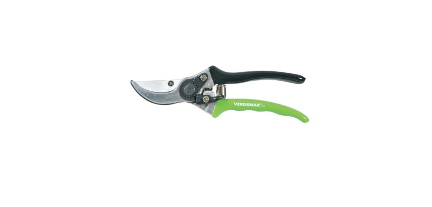 Forbici standard By-Pass - Verdemax