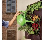 Annaffiatoio - 2 L - Verdemax