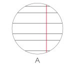 Maxiquaderno Be More Sweet - A4 - 36+2 fogli - 100gr - rigo di 1a - BM
