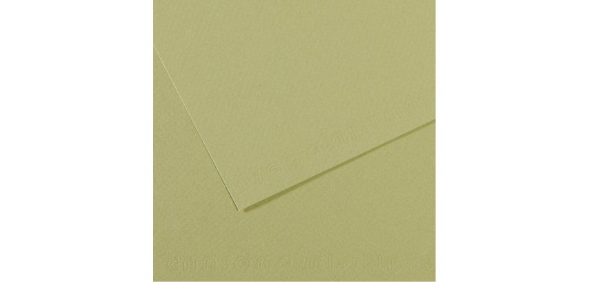 Foglio Mi-Teintes - A4 - 160 gr - verde mandorla - Canson