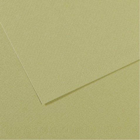 Foglio Mi-Teintes - A4 - 160 gr - verde mandorla - Canson