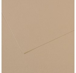 Foglio Mi-Teintes - A4 - 160 gr - grigio trianon - Canson