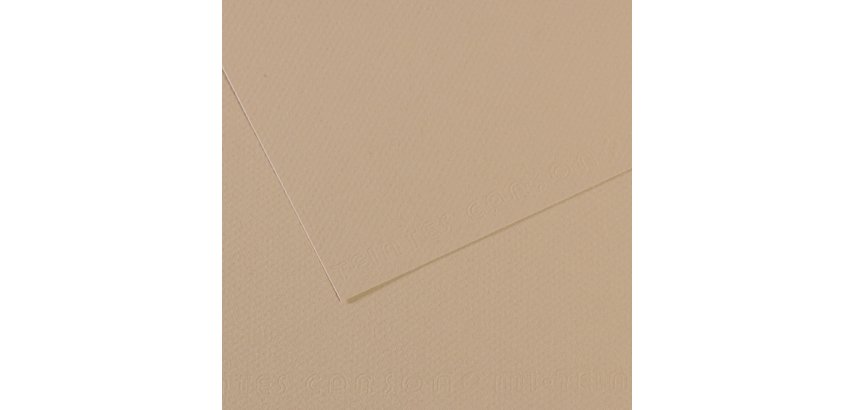 Foglio Mi-Teintes - A4 - 160 gr - grigio trianon - Canson