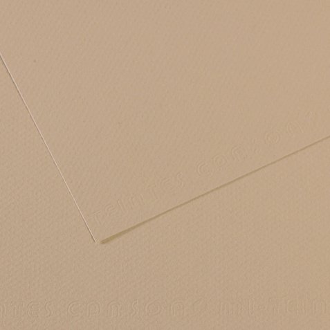 Foglio Mi-Teintes - A4 - 160 gr - grigio trianon - Canson