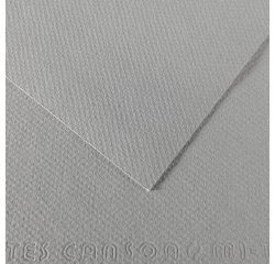 Foglio Mi-Teintes - A4 - 160 gr - grigio flanella - Canson