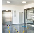Nastro adesivo DURALINESTRONG 50/05 1043 - rimovibile - 5 cm x 15 m - giallo/nero - Durable