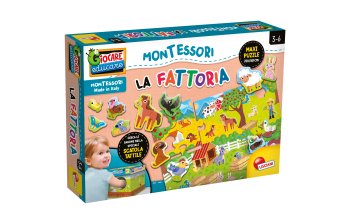 Board games