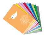 Coprimaxi Green - 21 x 30 cm - carta - 120gr  - c/tasche - azzurro - Colorosa