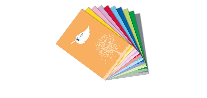 Coprimaxi Green - 21 x 30 cm - carta - 120gr  - c/tasche - azzurro - Colorosa