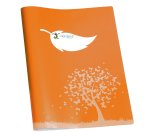 Coprimaxi Green - 21 x 30 cm - carta - 120gr  - c/tasche - arancione - Colorosa