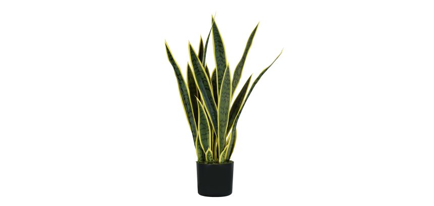 Pianta ornamentale Sansevieria - artificiale - 21 foglie - 75 cm - PE - King Collection