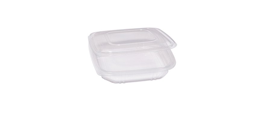 Contenitori in PP - con coperchio incernierato - 21,5 x 21,5 x 3,4 cm - Europack - pack 50 pezzi