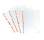 Buste forate Pastel - c/ banda - liscia - 22 x 30 cm - arancio - Favorit - conf. 25 pezzi
