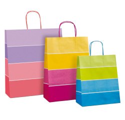 Shopper bicolor - con manici - carta ritorta - 16 x 8 x 21 cm - colori assortiti - Rex Sadoch